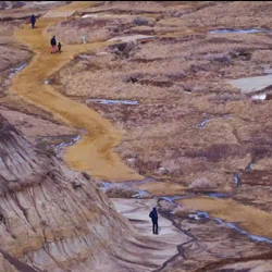 Horseshoe Canyon