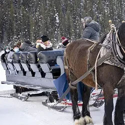 Sleigh ride